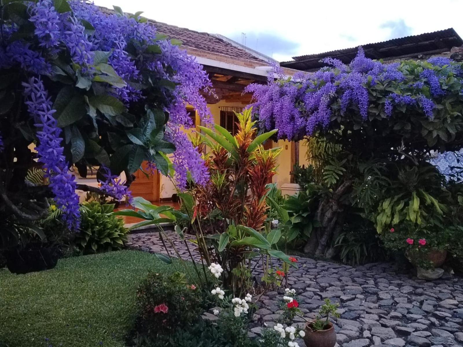 Hostal San Nicolas Antigua Exteriér fotografie