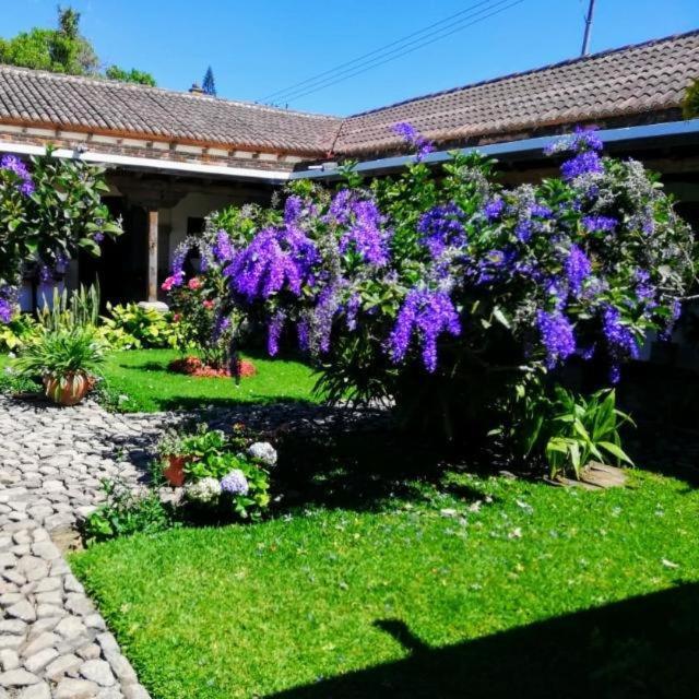 Hostal San Nicolas Antigua Exteriér fotografie