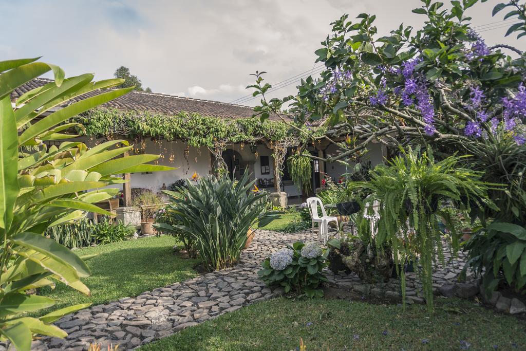 Hostal San Nicolas Antigua Exteriér fotografie
