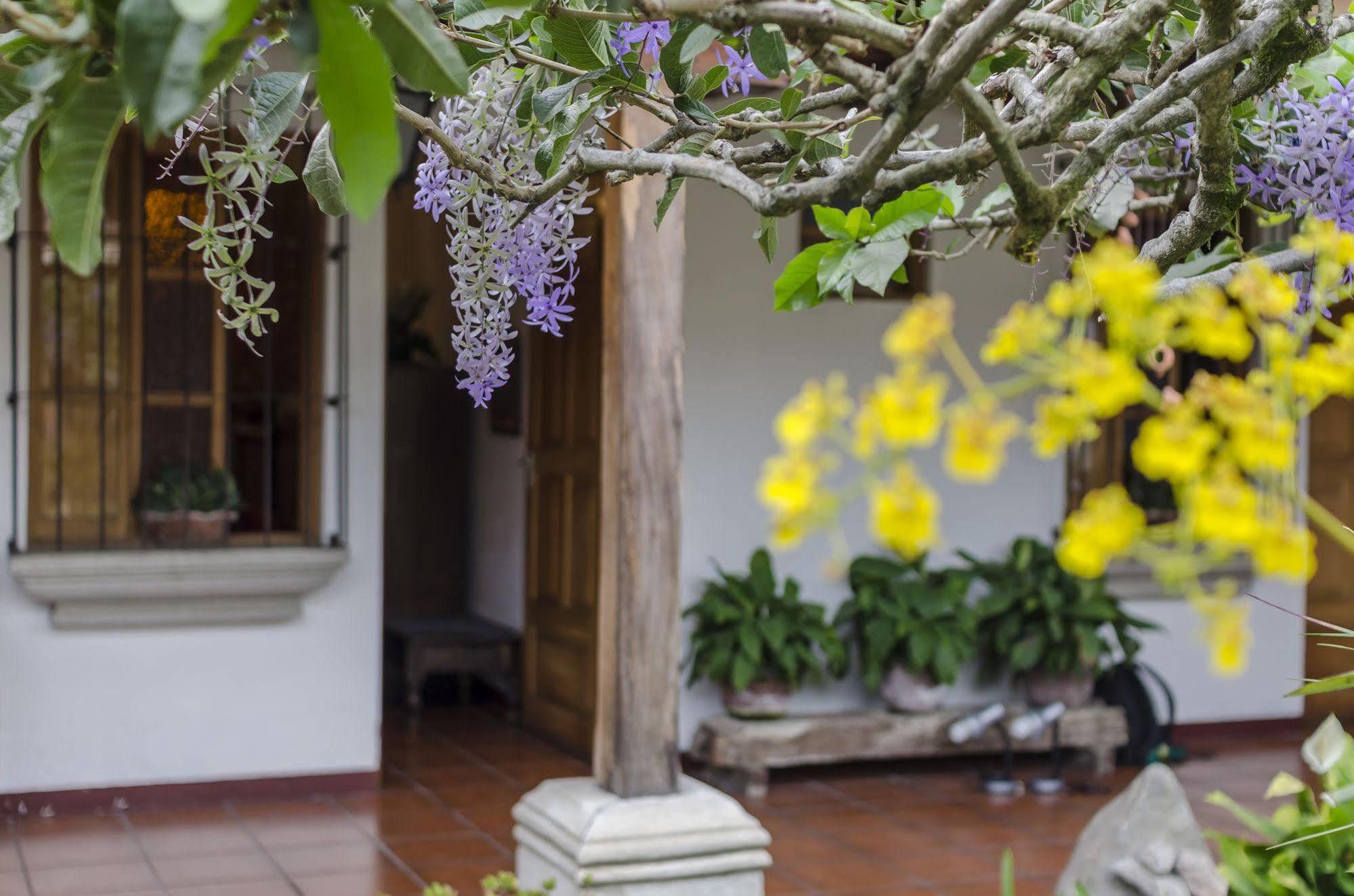 Hostal San Nicolas Antigua Exteriér fotografie