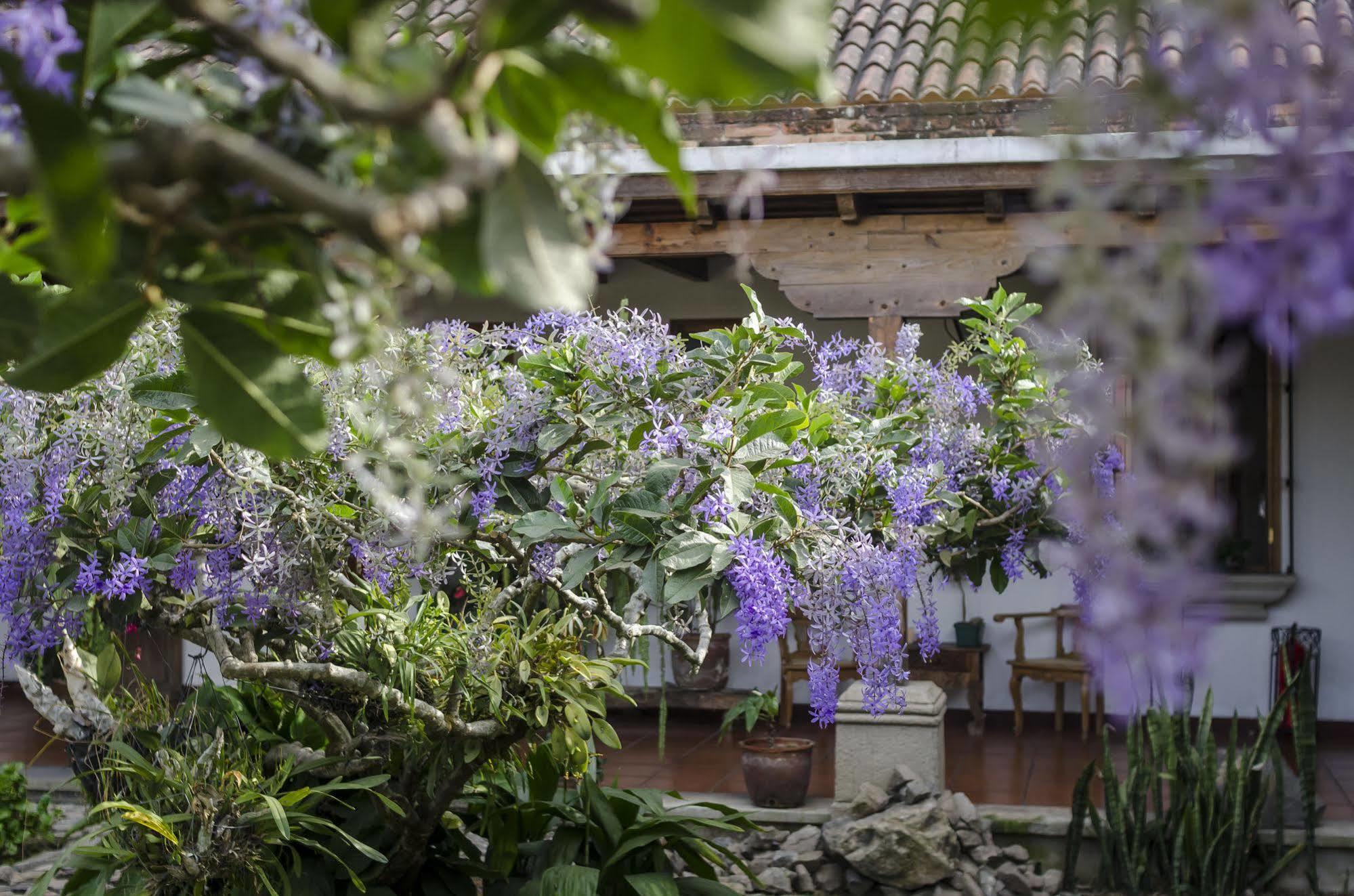 Hostal San Nicolas Antigua Exteriér fotografie